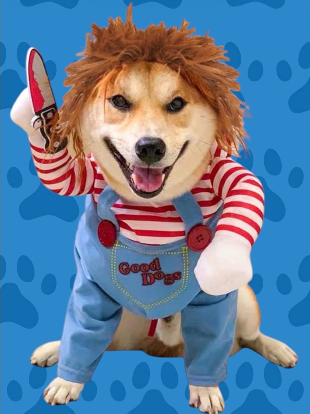 2 for $30 | Chucky Dog Costume with Wig